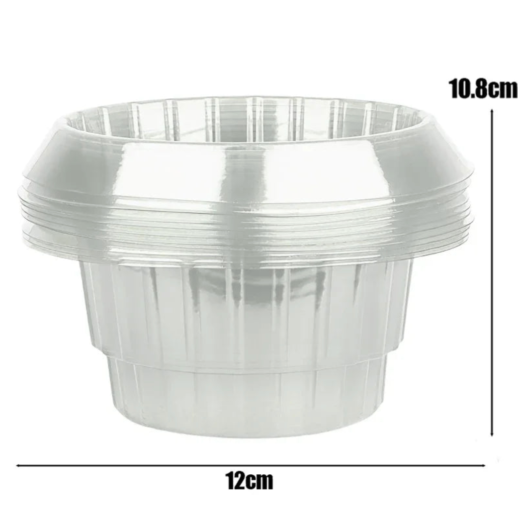 Plants Slug Protection Rings