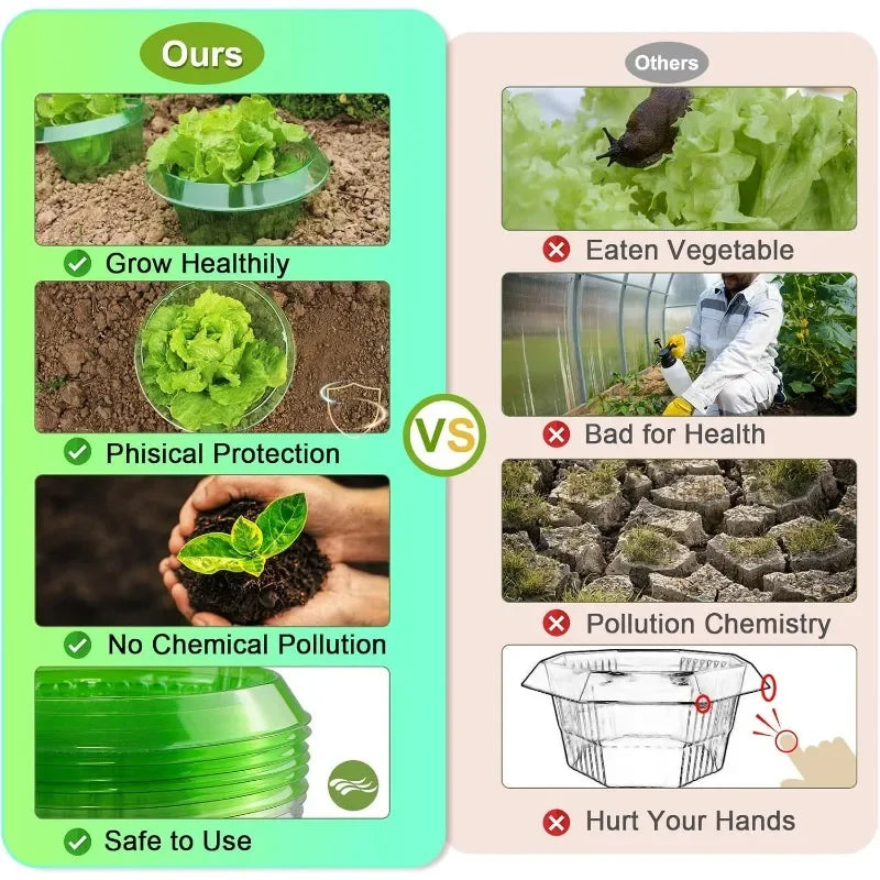 Plants Slug Protection Rings