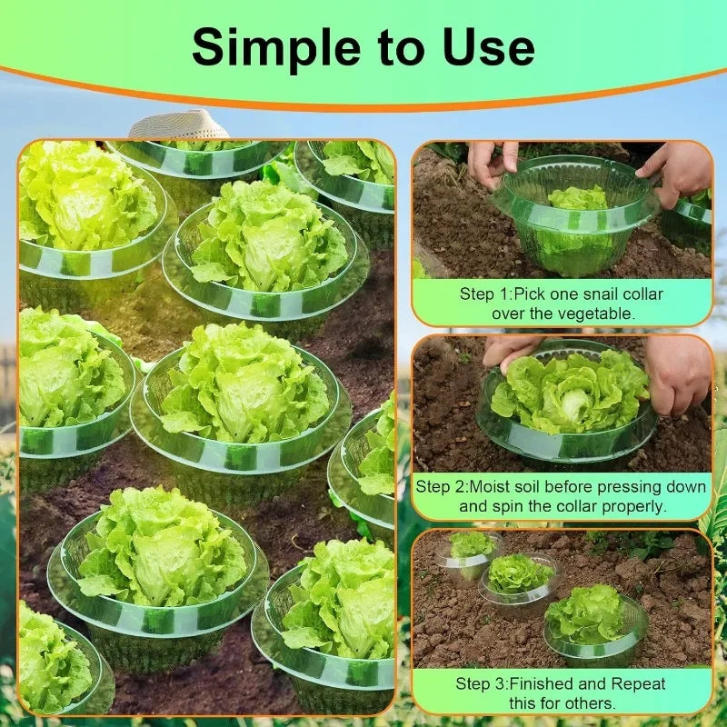 Plants Slug Protection Rings