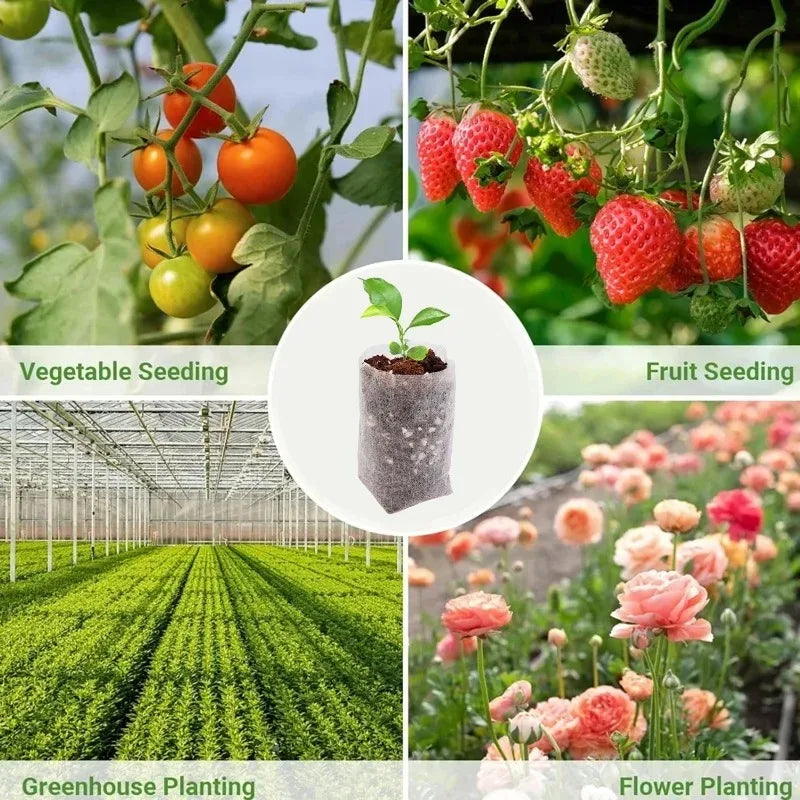 Biodegradable Grow Bags – Non-Woven Nursery Seedling Pots
